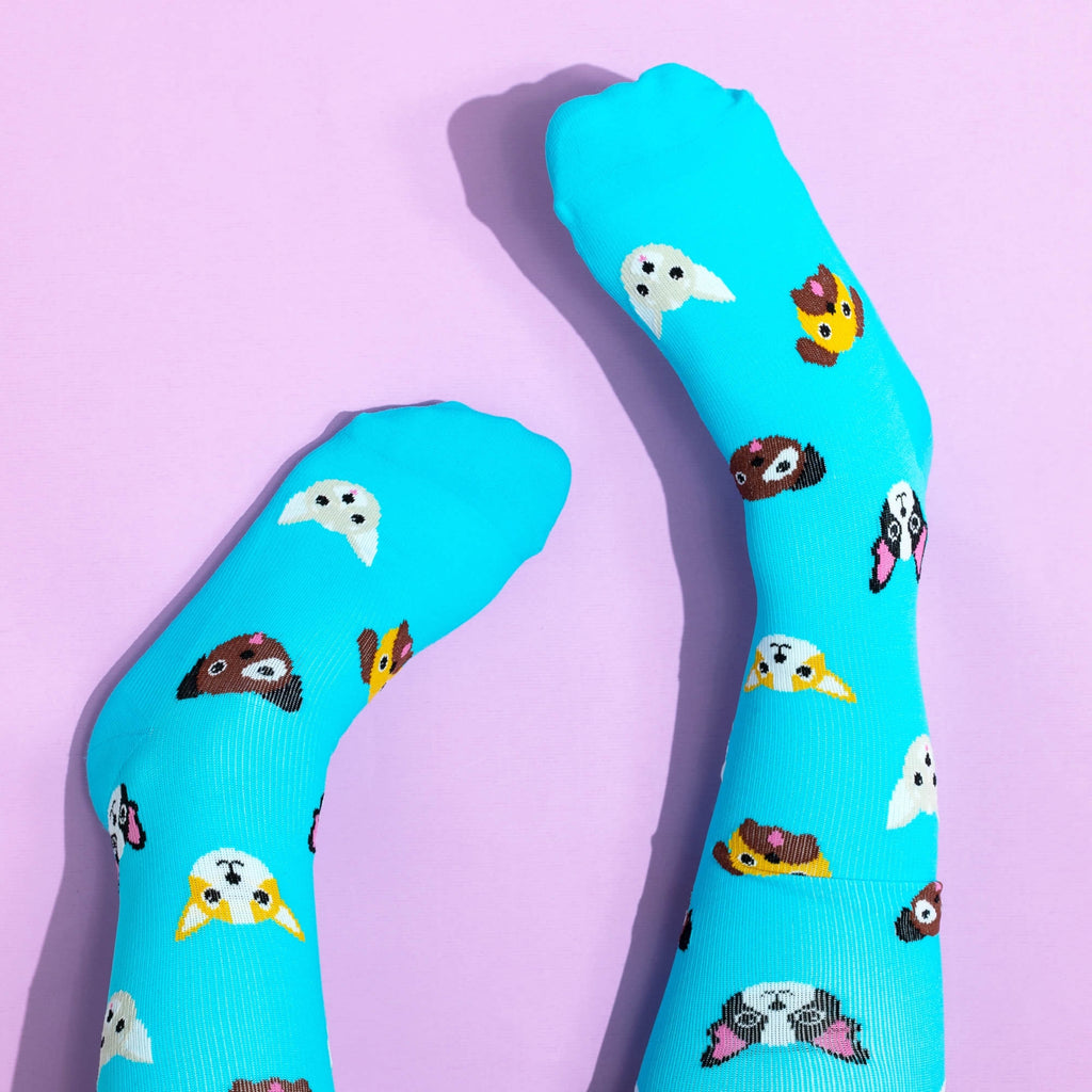 Teal knee high compression socks with dog pattern