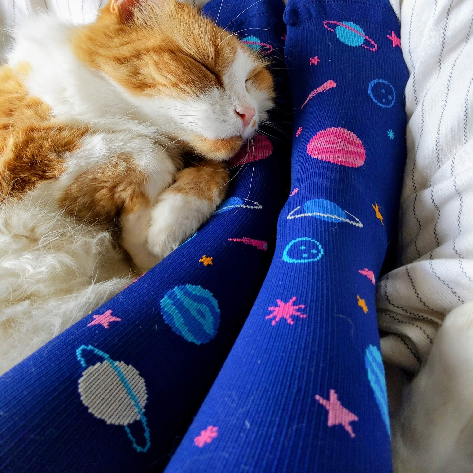Cat laying on legs wearing navy blue knee high compression socks with space-themed design